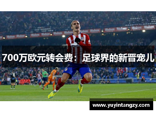 700万欧元转会费:足球界的新晋宠儿 700万欧元转会费:足球界的新晋宠儿